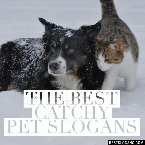 50+ Catchy Pet Slogans & Sayings - Pet Care Phrases, Pet Shop, Grooming