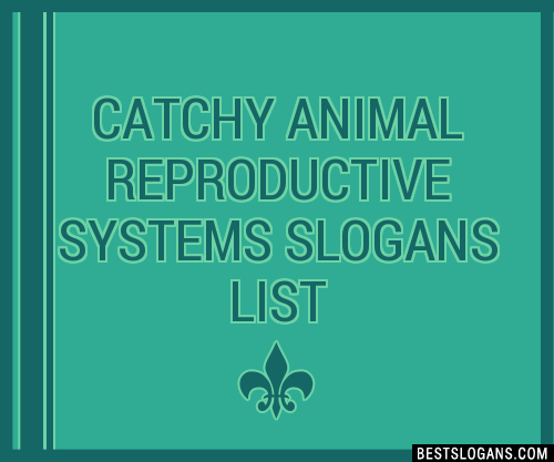 40+ Catchy Animal Reproductive Systems Slogans List, Phrases, Taglines &  Names Mar 2023