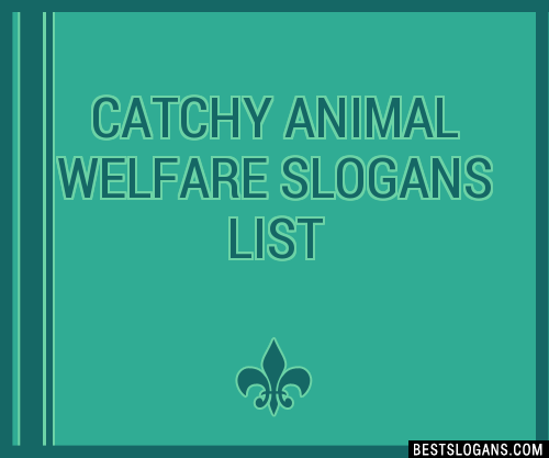 40+ Catchy Animal Welfare Slogans List, Phrases, Taglines & Names Mar 2023