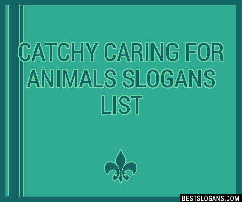 40+ Catchy Caring For Animals Slogans List, Phrases, Taglines & Names Feb  2023