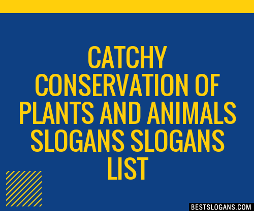 40+ Catchy Conservation Of Plants And Animals Slogans List, Phrases,  Taglines & Names Mar 2023