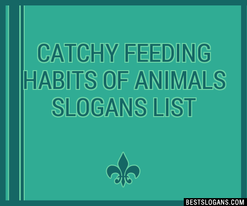 40+ Catchy Feeding Habits Of Animals Slogans List, Phrases, Taglines &  Names Feb 2023