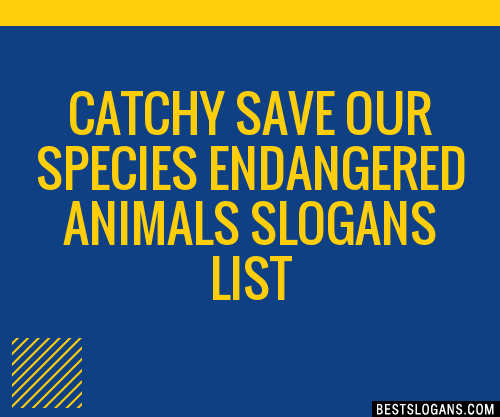 40+ Catchy Save Our Species Endangered Animals Slogans List, Phrases,  Taglines & Names Mar 2023