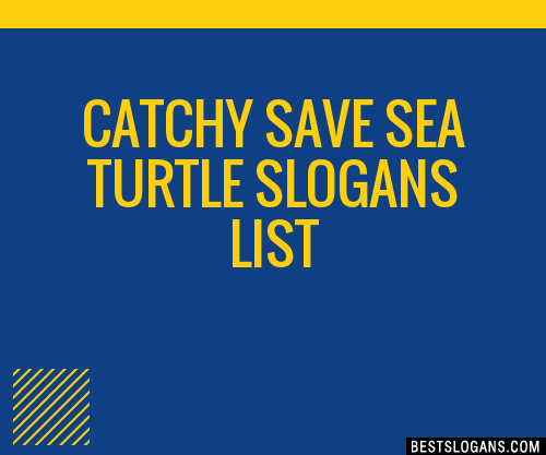 100-catchy-save-sea-turtle-slogans-2023-generator-phrases-taglines