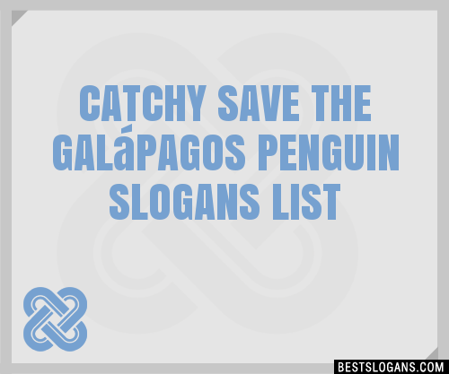 The penguin galapagos how can help we The Amazing