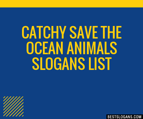 100+ Catchy Save The Ocean Animals Slogans 2023 + Generator - Phrases &  Taglines
