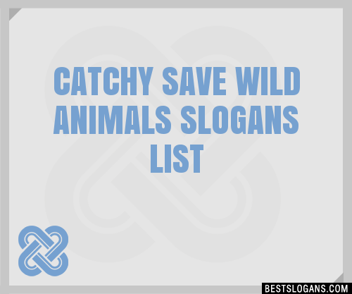40+ Catchy Save Wild Animals Slogans List, Phrases, Taglines & Names Mar  2023