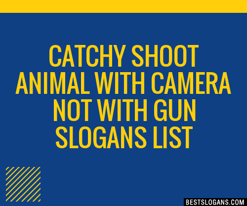 40+ Catchy Shoot Animal With Camera Not With Gun Slogans List, Phrases,  Taglines & Names Feb 2023