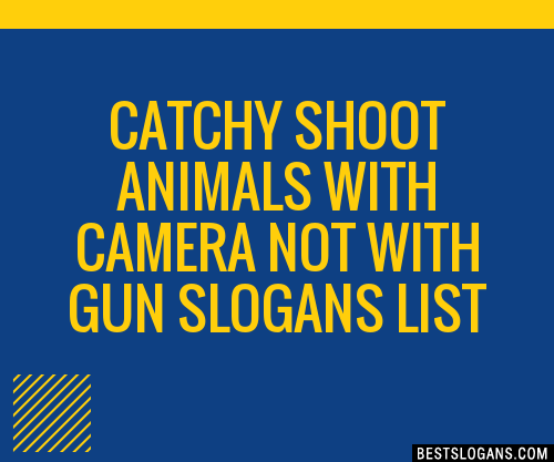 40+ Catchy Shoot Animals With Camera Not With Gun Slogans List, Phrases,  Taglines & Names Feb 2023