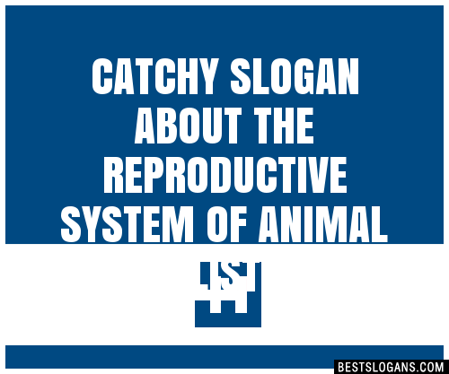 40+ Catchy About The Reproductive System Of Animal Slogans List, Phrases,  Taglines & Names Feb 2023