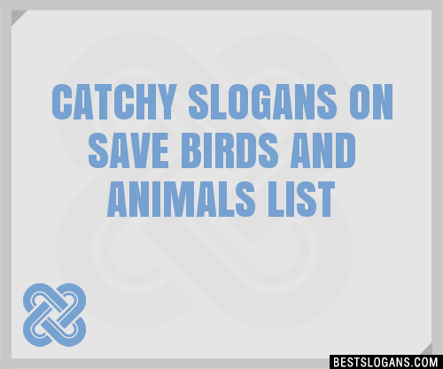 40+ Catchy On Save Birds And Animals Slogans List, Phrases, Taglines &  Names Feb 2023