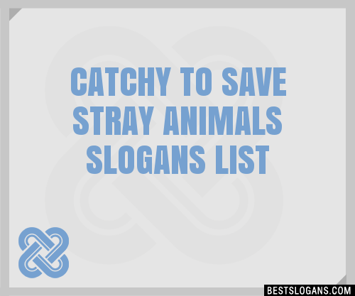 40+ Catchy To Save Stray Animals Slogans List, Phrases, Taglines & Names  Mar 2023
