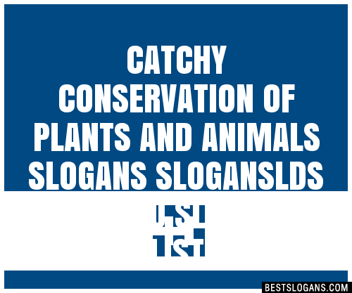 40+ Catchy Conservation Of Plants And Animals Lds And Flu Slogans List,  Phrases, Taglines & Names Mar 2023