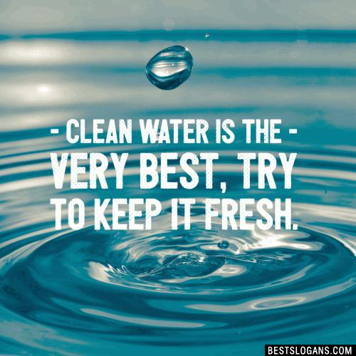 Clean water is the very best, try to keep it fresh.