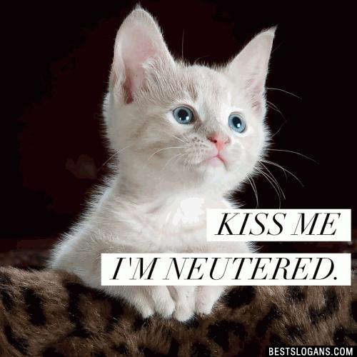 Kiss me I'm neutered.