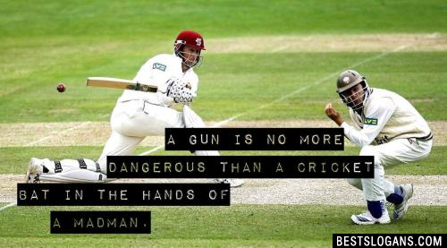 A gun is no more dangerous than a Cricket bat in the hands of a madman.