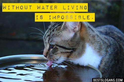 Without water living is impossible