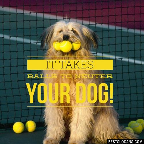 It takes balls to neuter your dog!