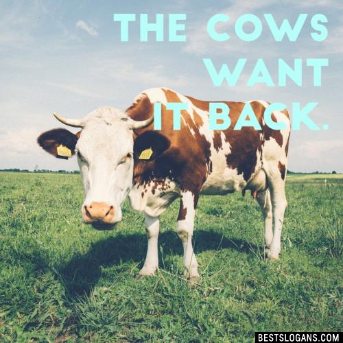 The cows want it back.
