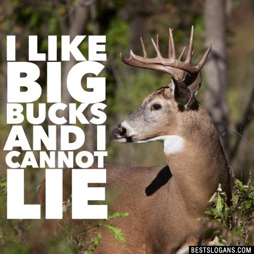 I like big bucks and I cannot lie.
