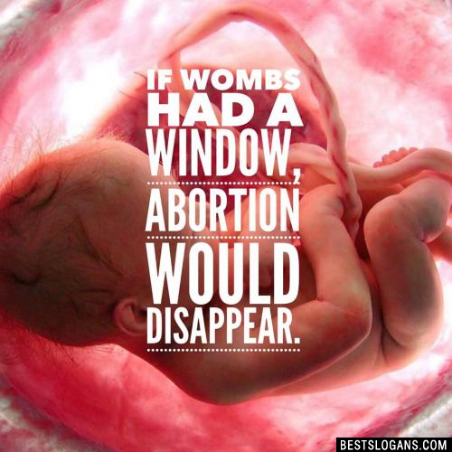 If wombs had a window, abortion would disappear.