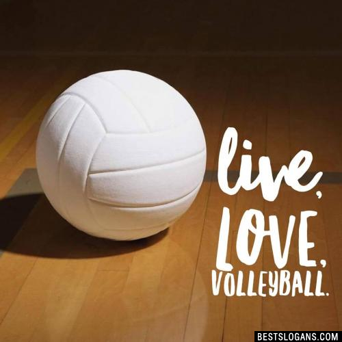Live, Love, Volleyball.