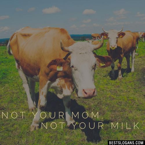 Not your mom, not your milk!