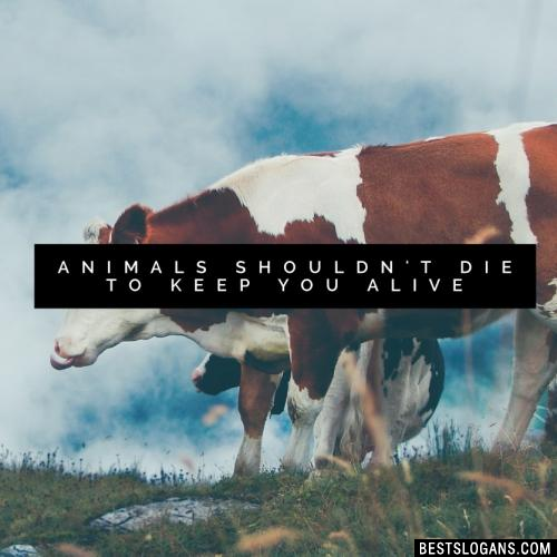 Animals shouldn't die to keep you alive