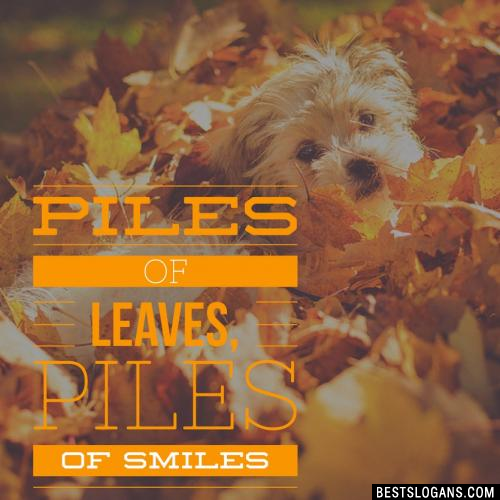 Piles Of Leaves, Piles Of Smiles
