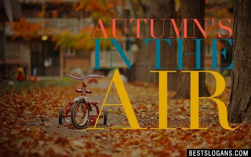 Autumn's In The Air 