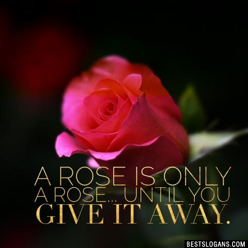 A rose is only a rose.. until you give it away.