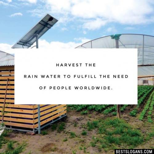 Harvest the rain water to fulfill the need of people worldwide.