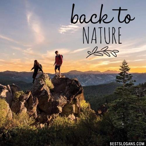 Back to Nature