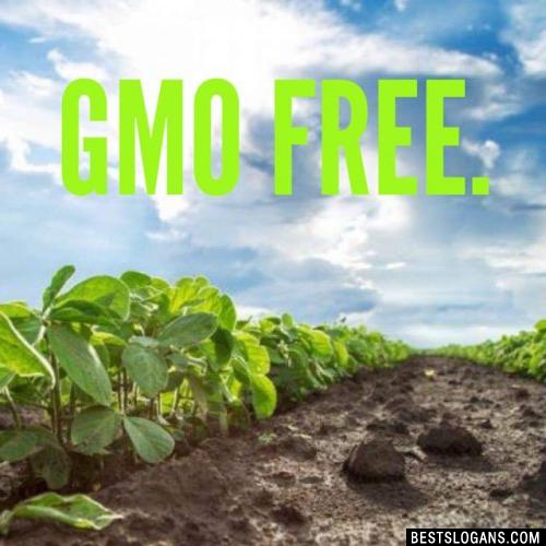 GMO free.