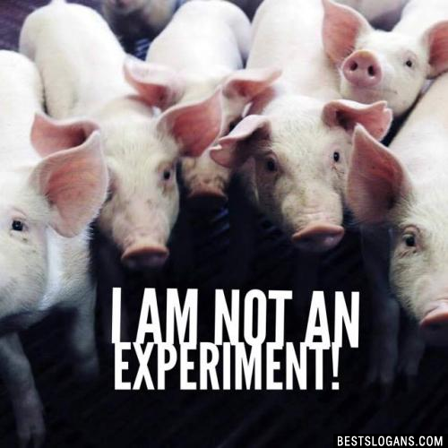 I am not an experiment!