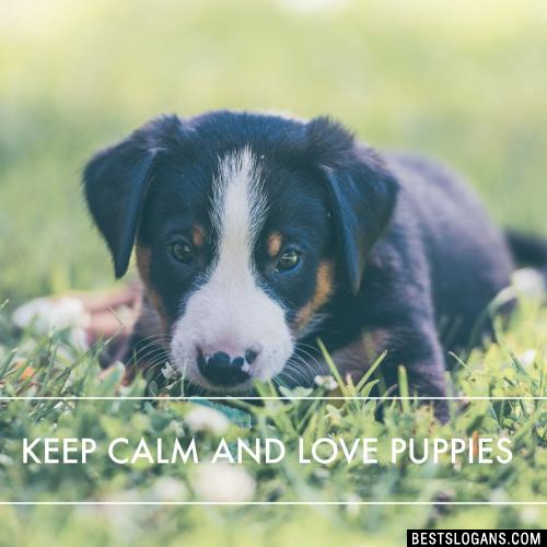 Keep calm and love puppies