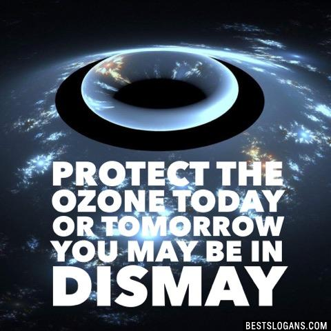 Protect the ozone today or tomorrow you may be in dismay