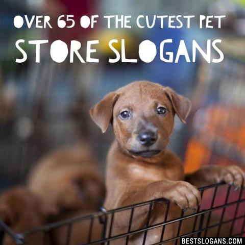 Pet Store Slogans