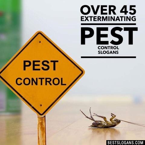 Pest Control Slogans