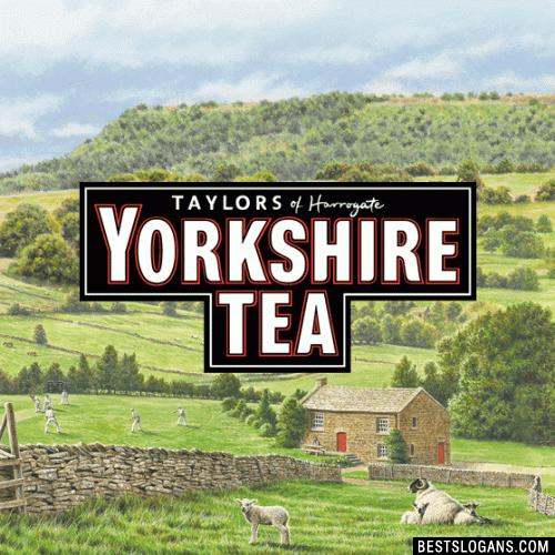 Yorkshire Tea Slogans